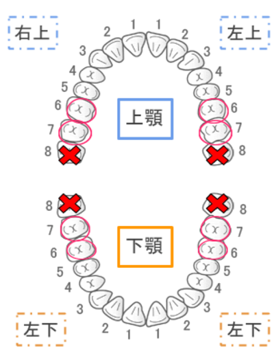 叢生2(2).png